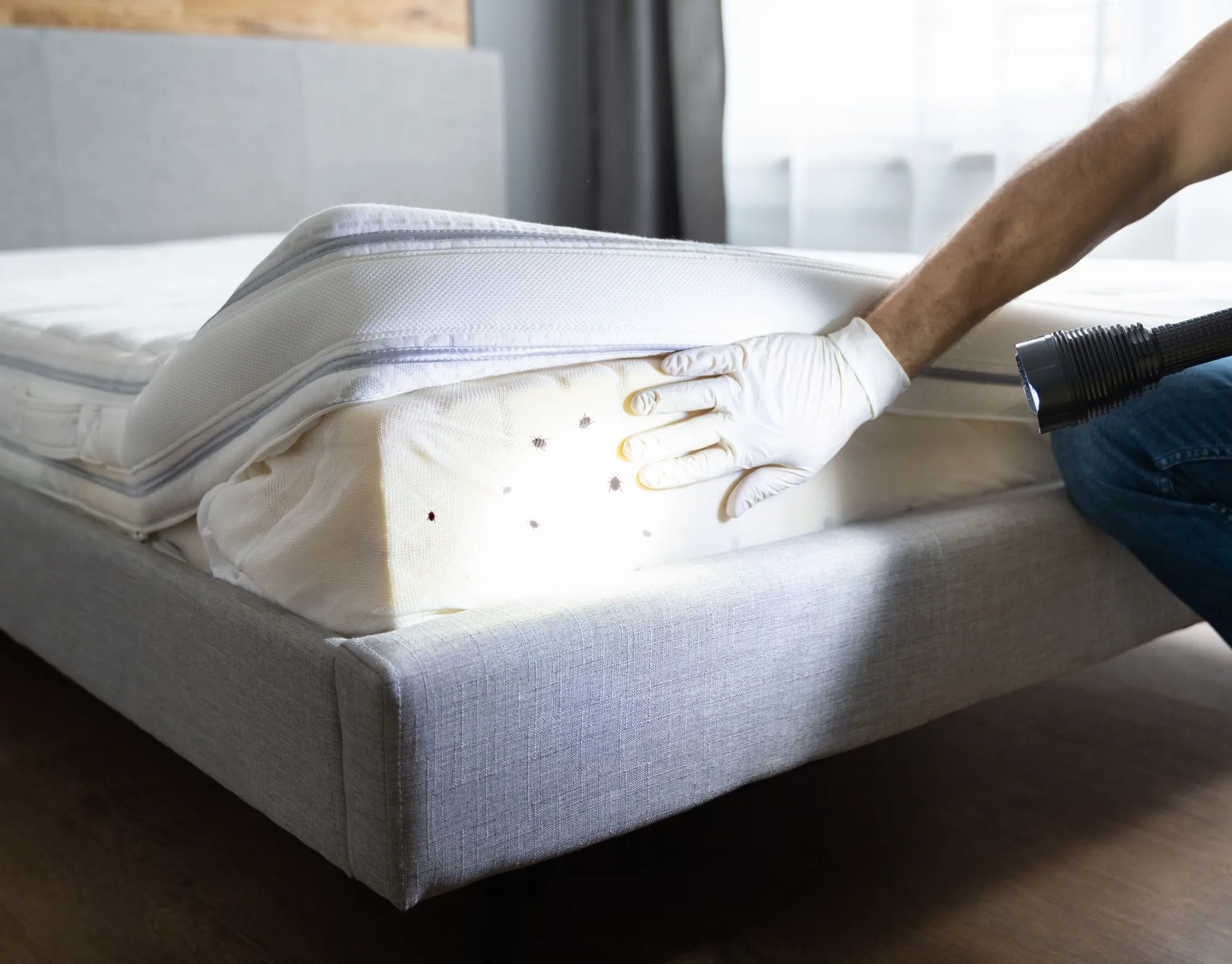 Specialty cleanup services